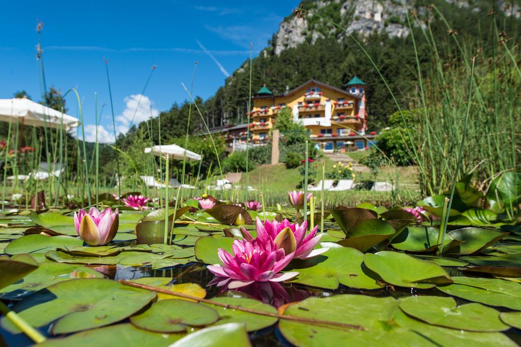 Alp Wellness Sport Hotel Panorama Fai della Paganella Exteriér fotografie